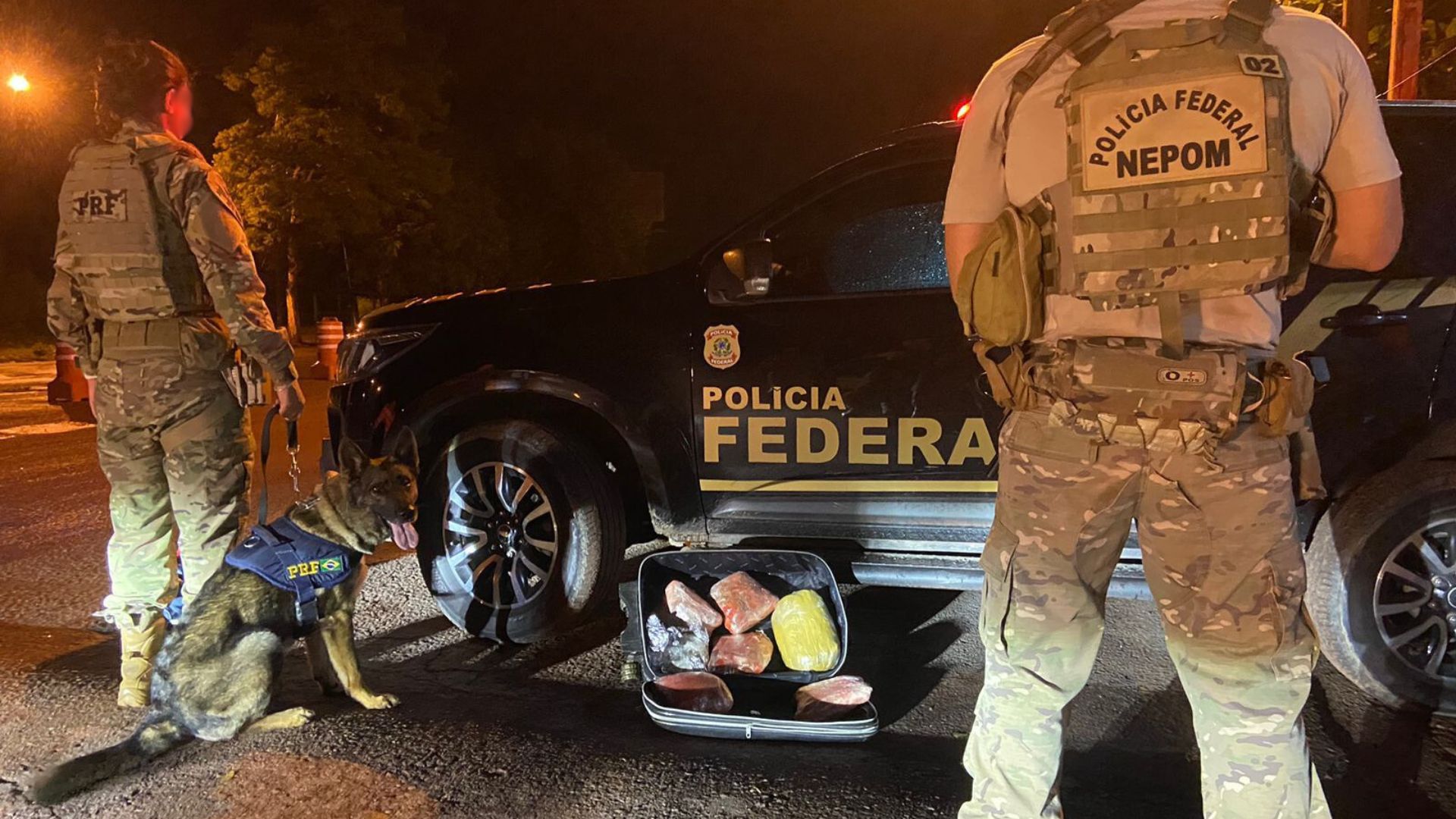 Cães farejam e encontram skunk em mala de passageiro em MS