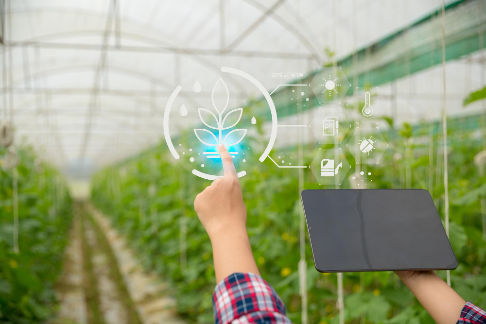 O agro e a tecnologia: do campo ao token