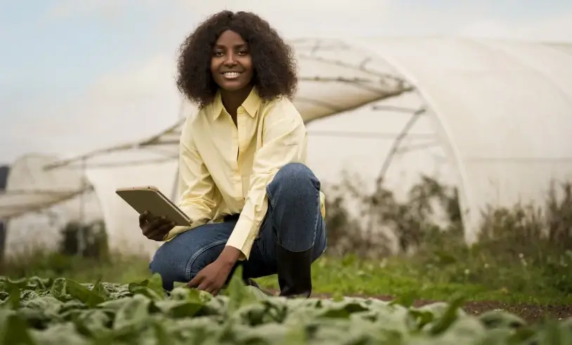 Pequenos produtores têm aumento de faturamento em 17%, na média, com orientação do projeto ALI Rural