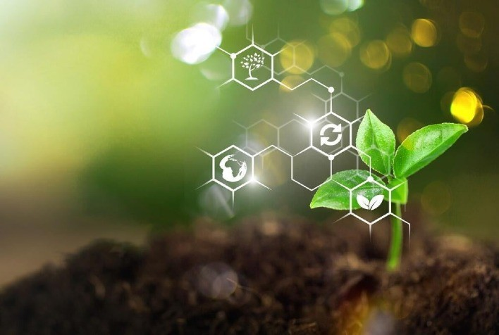 Produtos biológicos agregam sustentabilidade com eficiência às lavouras