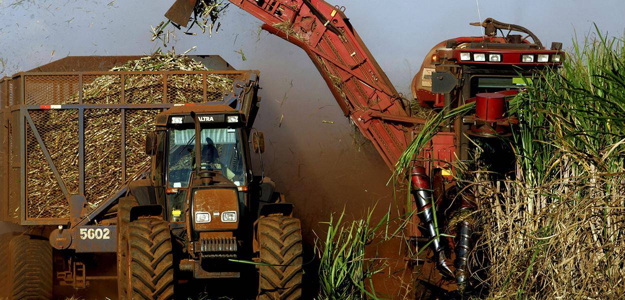 Tereos elevará “mix” de açúcar a 70%, vê sua moagem estável em 24/25 no Brasil