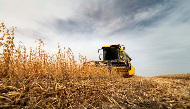 Conab aponta que perdas na produção de grãos em MS podem chegar a 10,4%