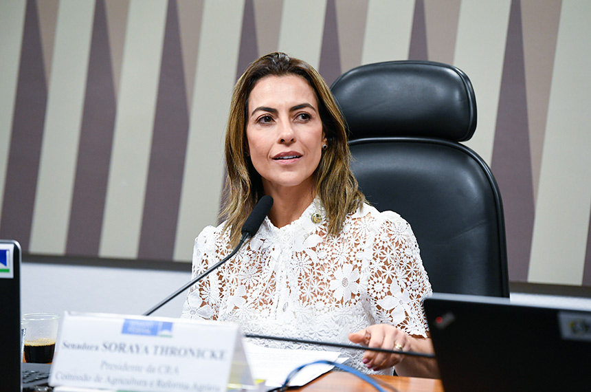 Senado analisa projeto para evitar invasão de competência legislativa