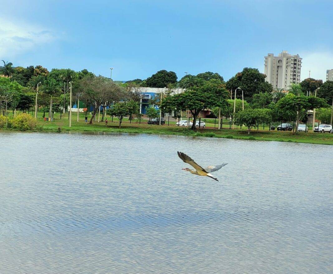 Outono será de tempo seco e pouca chuva em MS