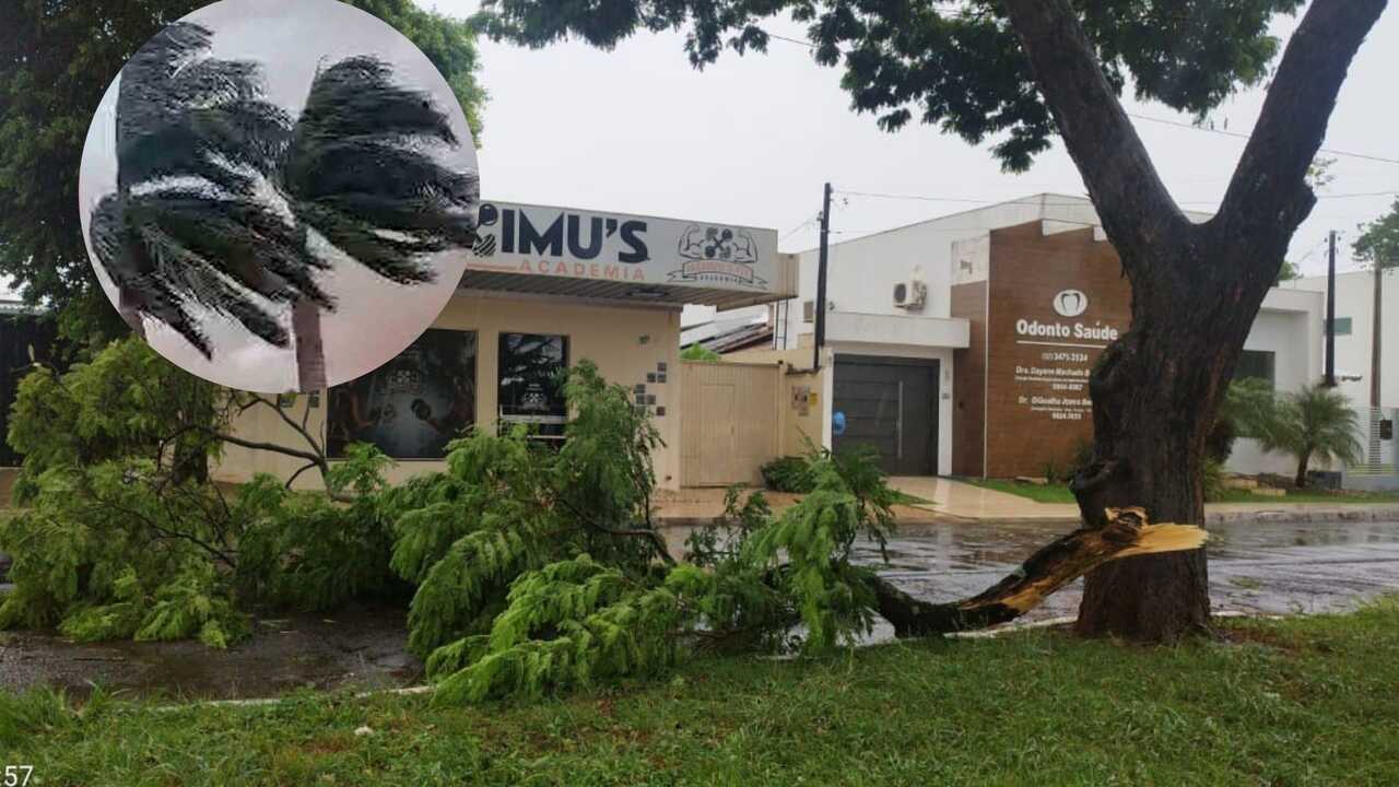 Ventos fortes deixam estragos e plano de contingência é ativado no sul de MS