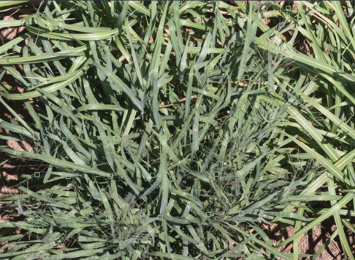 Mercado sucroenergético está em alta e demonstra potencial para adoção de tecnologias