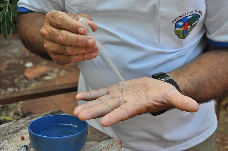 MS tem 7 mil casos prováveis e 4 mortes por dengue
