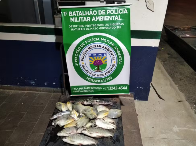 Pescadores sem autorização, com pescado abaixo da medida e usando equipamento proibido são presos em MS