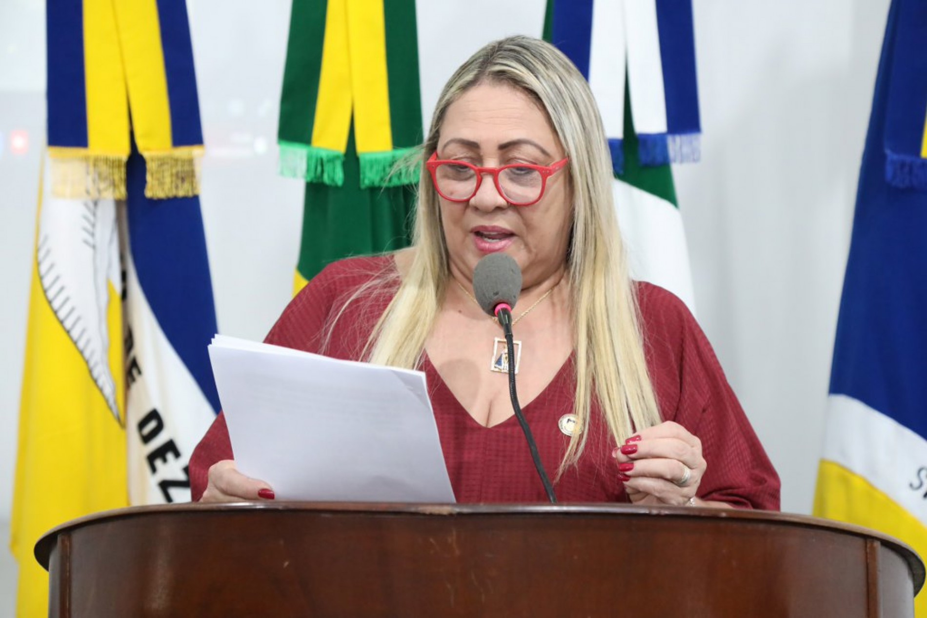 Tania Cristina questiona a compra de brinquedos, supostamente acima do preço, de empresa paulista