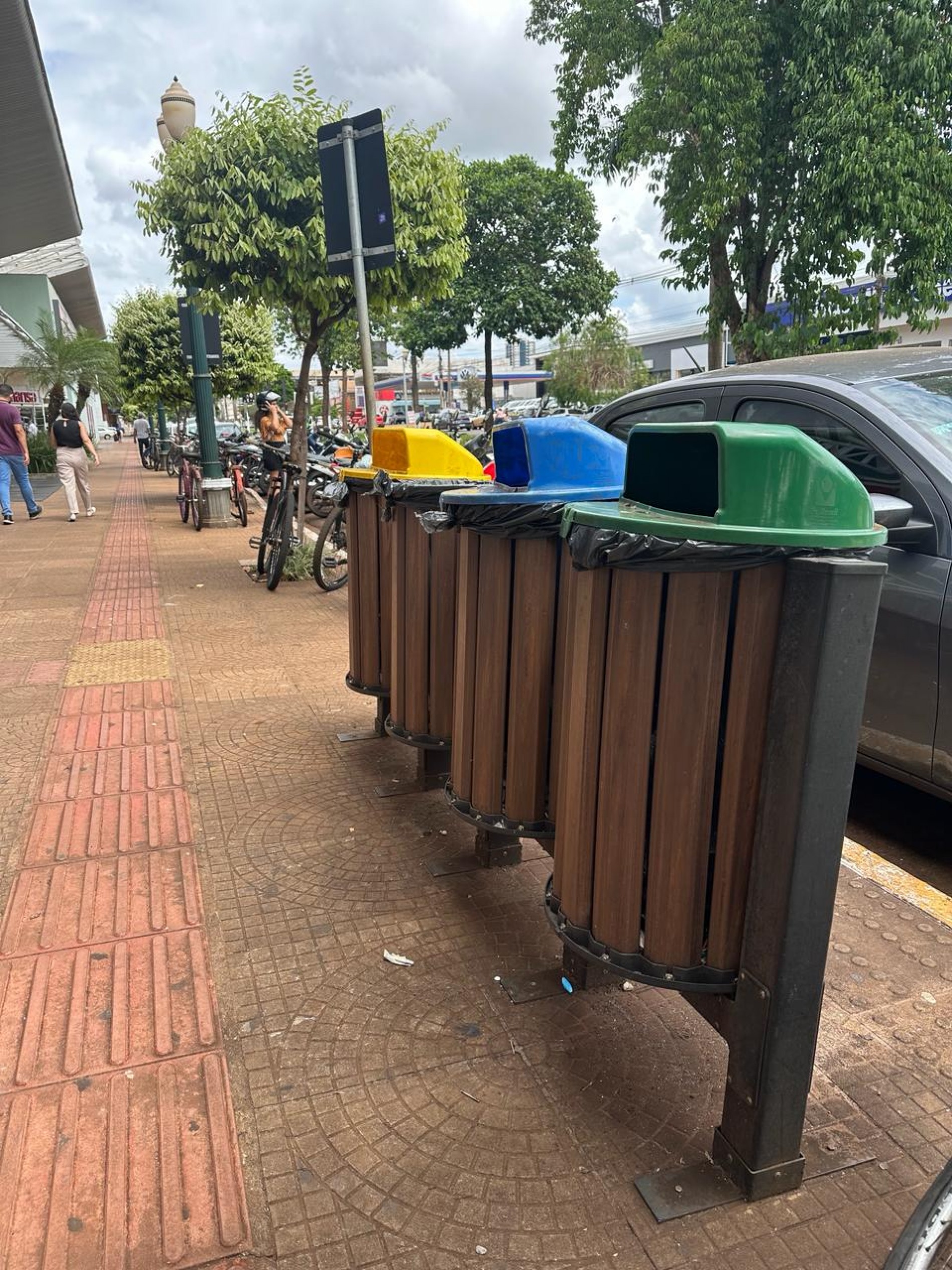 Vereadora Liandra pede instalação de lixeiras em locais públicos