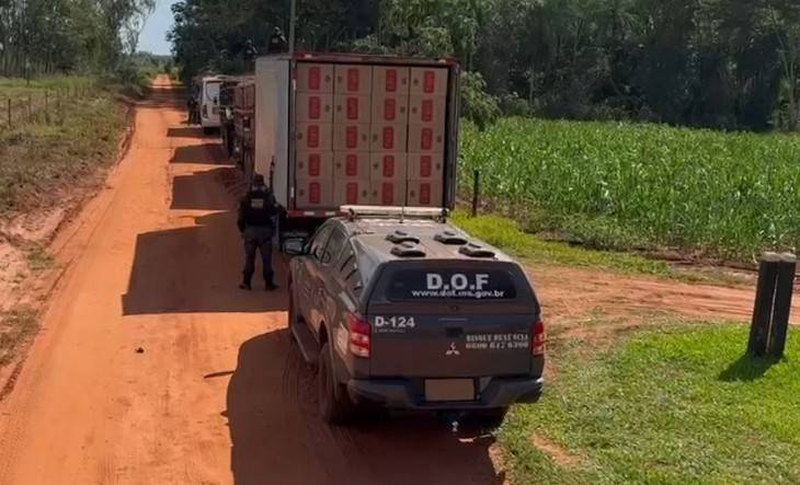 Na maior apreensão de cigarros do ano, DOF fecha entreposto com 77 mil pacotes