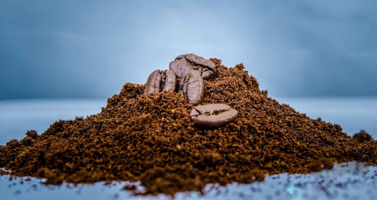 Cecafé apresenta avanços sustentáveis da cafeicultura a embaixadora da UE no Brasil