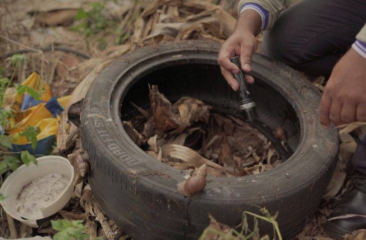 Dengue: Boletim Epidemiológico registra 5.754 casos confirmados em MS