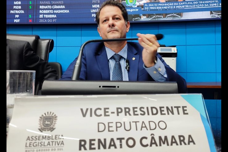 Lei: Campanha Maio Verde dedicada à conscientização sobre a doença celíaca