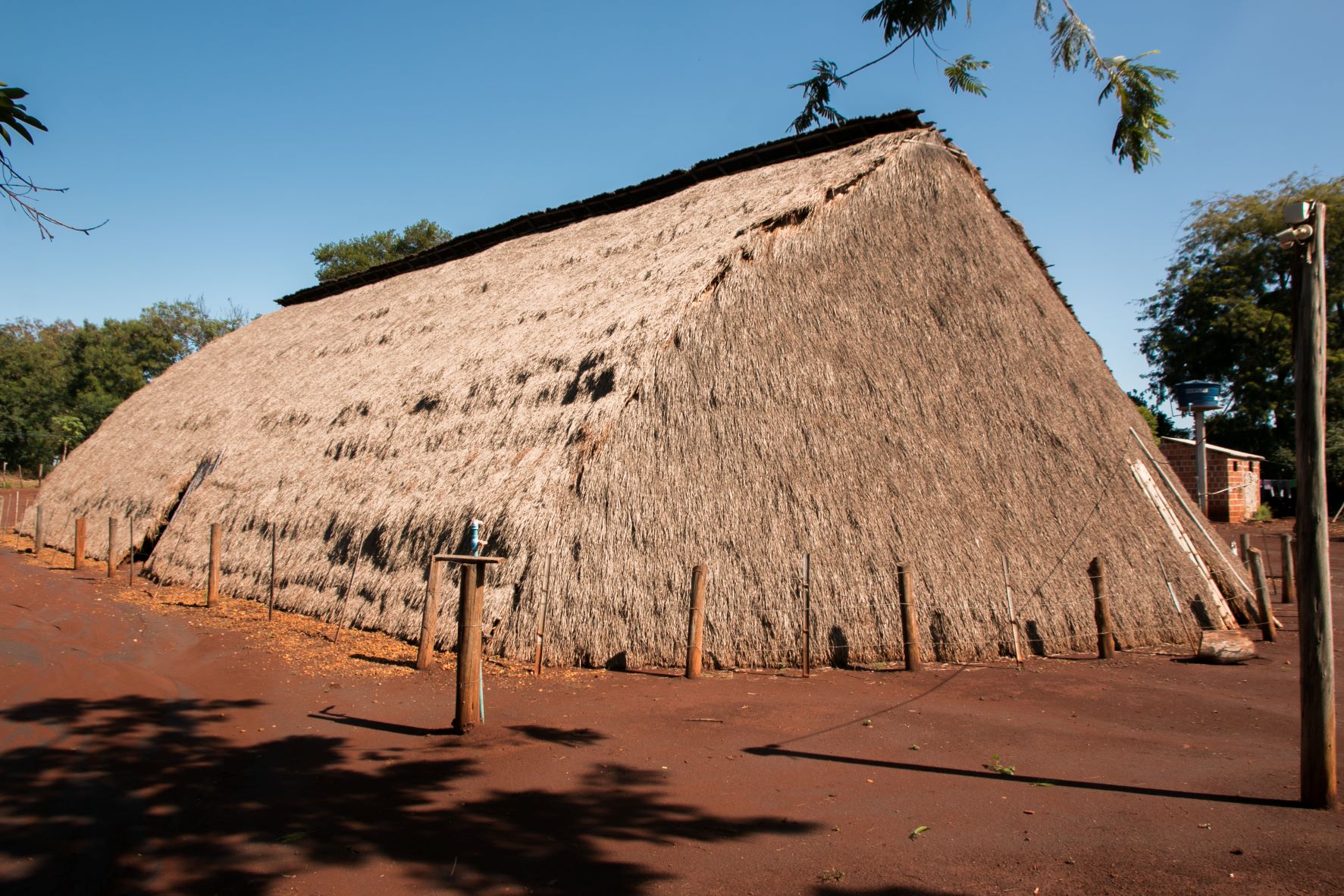 Povos Guarani Kaiowá de MS recebem anistia coletiva inédita por danos causados pela ditadura militar