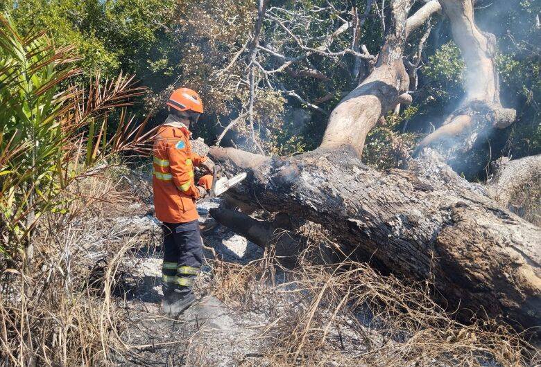 Incêndios florestais no Pantanal e em Naviraí mobilizam bombeiros de MS
