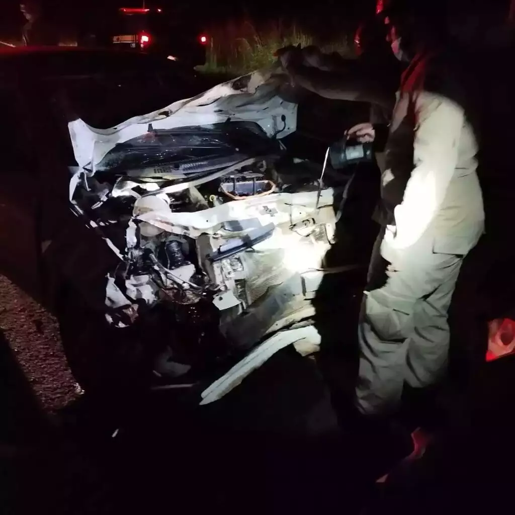 Carro fica destruído após motorista atropelar anta na BR-060