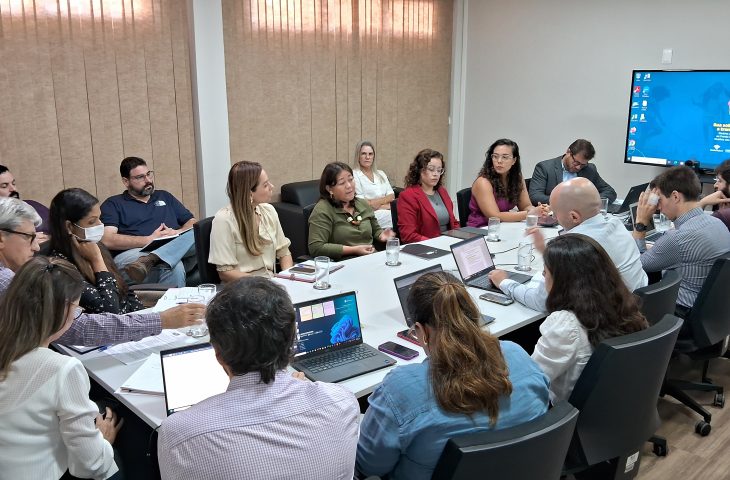 CGE discute alinhamento da auditoria interna de MS em reunião com BIRD, EPE e Agesul