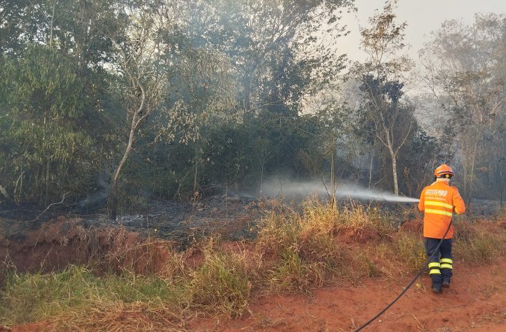 Com esforço concentrado, Corpo de Bombeiros combate incêndio florestal na região de Itaquiraí