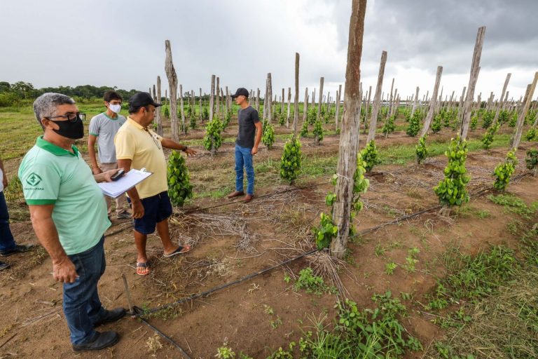 Comissão debate a Política Nacional de Assistência Técnica e Extensão Rural