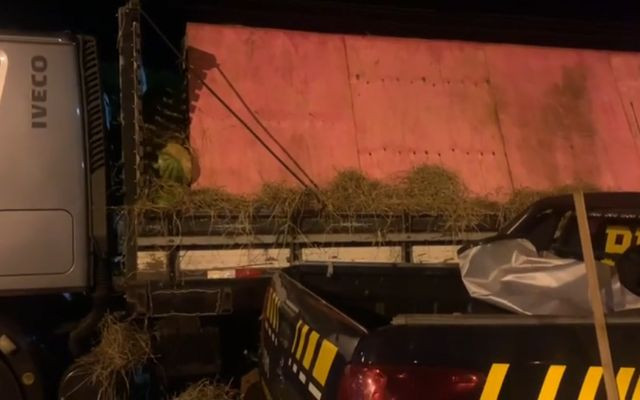 Polícia aprende 16 toneladas de maconha em carga de melancia