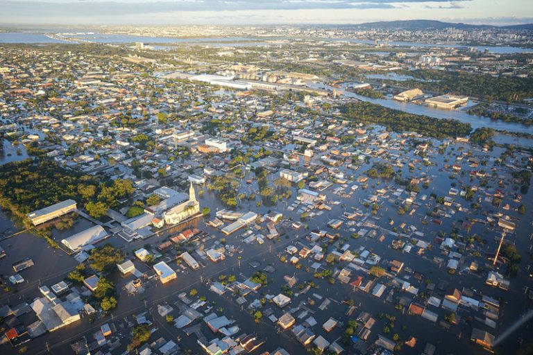 Audiência na Câmara discute morte de animais em loja de shopping inundado em Porto Alegre