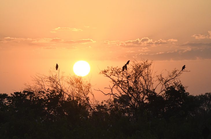 Calor volta ao Mato Grosso do Sul e fim de semana pode registrar temperaturas de até 34ºC
