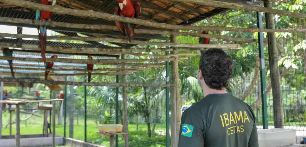 AGU considera paralisação dos servidores ambientais ilegal e pede ao STJ suspensão da greve