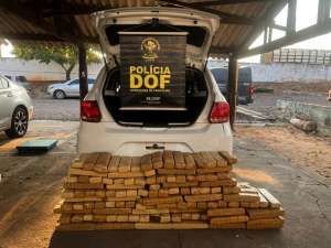 Traficante em veículo com quase R$ 500 mil em drogas é preso pelo DOF