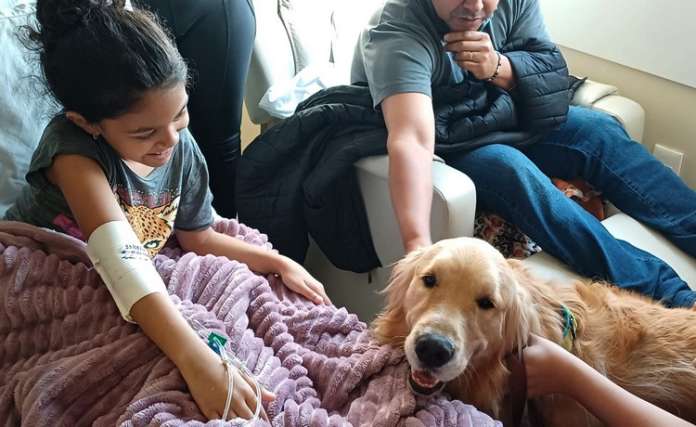 Hospital Cassems de Dourados recebe visita do cão Alfredinho