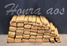 Grupo criminoso é desmantelado e droga apreendida em ação policial