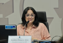 Comissão de Segurança Pública debate busca de pessoas desaparecidas