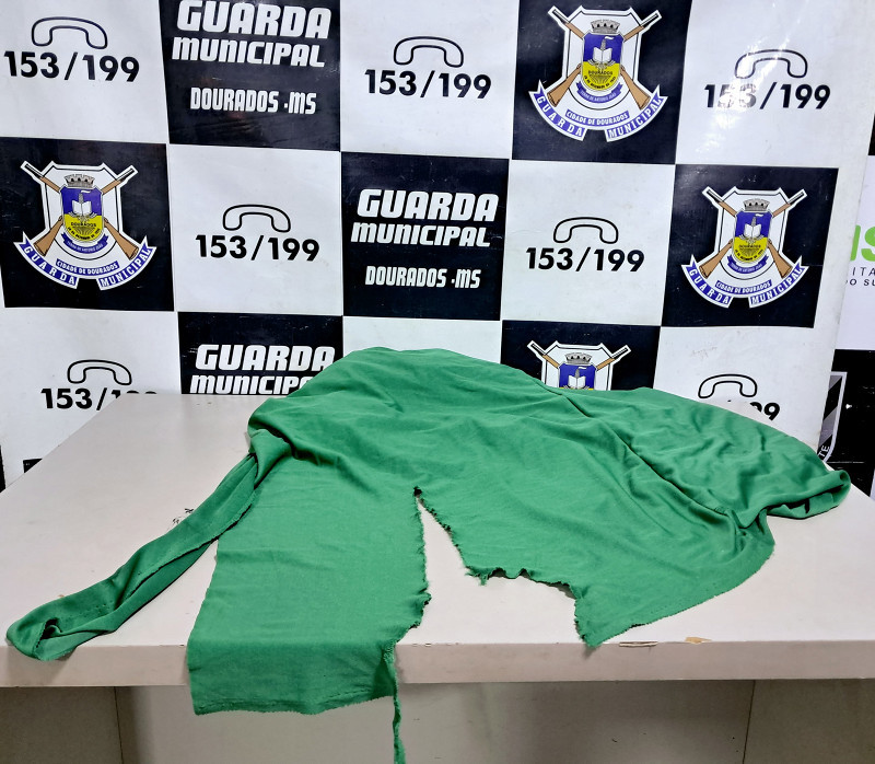 Mulher é presa por rasgar decoração da Independência na Marcelino Pires