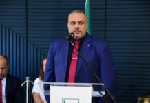 Projeto prevê castração de animais vítimas de catástrofes acolhidos em abrigos