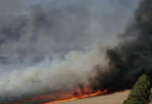 São Paulo bate recorde de maior número de focos de incêndio