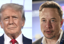 Trump falou com Musk para levar Starlink a áreas atingidas por furacão