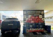 Traficante foge da Defron e abandona veículo com mais de R$ 1,5 milhão em maconha