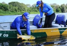 Faltando uma semana para o defeso, saiba como ter autorização para pesca esportiva em MS