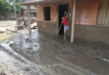 Comissão Mista Permanente sobre Mudanças Climáticas promove audiência com foco na COP29