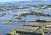 Medida provisória complementa ações do governo federal para produtores no RS