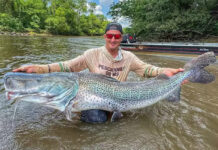 Pescador fisga dois pintados gigantes no rio Dourados