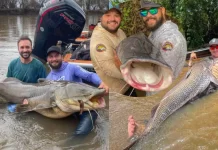 O rio de Mato Grosso do Sul que abriga peixes imensos e maiores do que muita gente