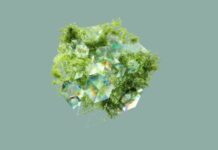 Tecnologia de IA cria oportunidades sustentáveis