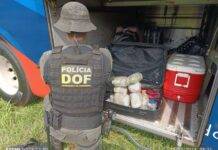 Homem que seguia com droga para Três Lagoas é preso durante fiscalização na MS-164