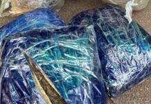 Homem é preso ao receber drogas pelos Correios