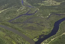 Maior parte da Mata Atlântica tem menos de 30% de vegetação nativa