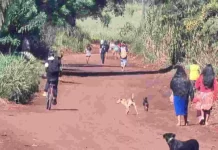 Com 17 passagens pela polícia, marido passou a noite ‘curtindo’ após matar mulher com tiro na cabeça