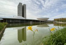 Campanha 21 Dias de Ativismo pelo Fim da Violência contra as Mulheres começa nesta quarta