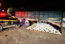Traficante com quase meia tonelada de cocaína dentro de tambores de óleo é preso pela PRF