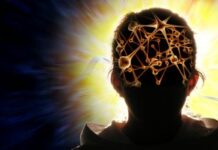 Comissão de Saúde promove debate sobre neurociências e saúde mental no âmbito do G20